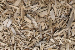 biomass boilers Burdrop