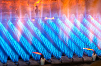 Burdrop gas fired boilers
